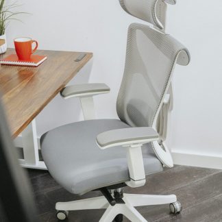 Ergo Mesh Office Chair, Light Grey