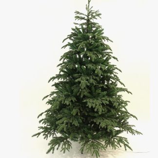 Pre Lit Artificial Christmas Tree, 7 ft